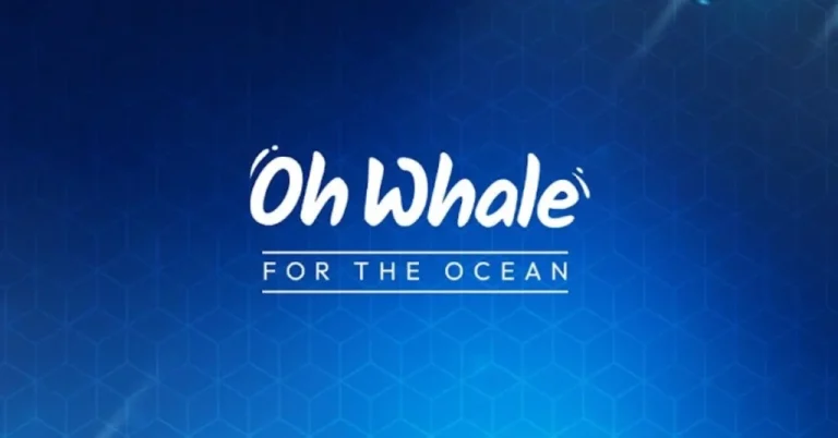 “Crypto Needs a Cause”: Oh Whale Co-Founder on Building a Transparent, Impact-Driven Token