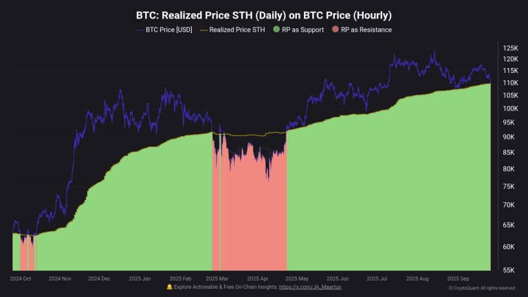 Bitcoin sinks below $109k wiping $170 billion from crypto market